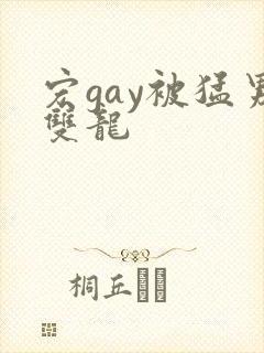 宏gay被猛男双龙