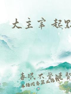 大主宰 起点