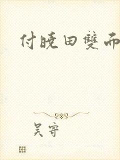 付晓田双面间谍