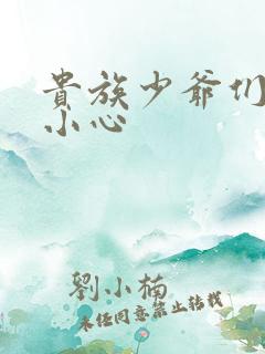 贵族少爷们 请小心