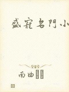 盛宠名门小夫人