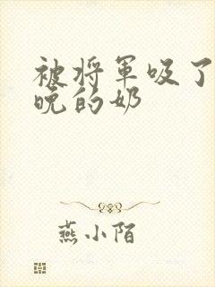 被将军吸了一整晚的奶