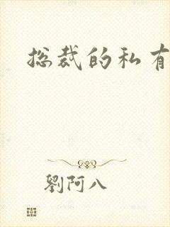 总裁的私有宝贝