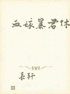 血嫁暴君休了你