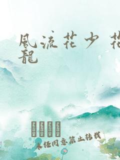 风流花少 花睿龙