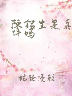 陈铭生是真实事件吗