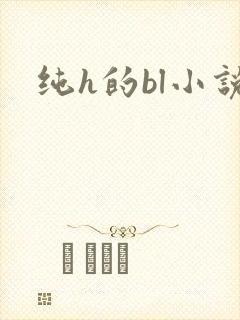 纯h的bl小说