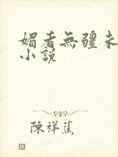 媚者无疆未删减小说