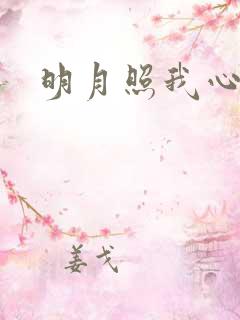 明月照我心小说