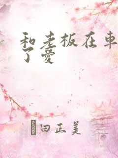 和老板在车里做了爱