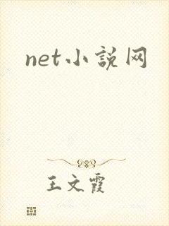 net小说网
