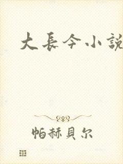 大长今小说下载