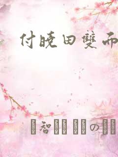 付晓田双面间谍