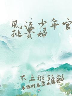 风流少年官途情挑贵妇