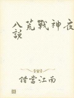 八荒战神夜麟小说