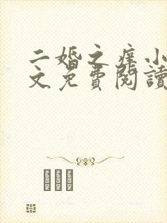 二婚之痒小说全文免费阅读