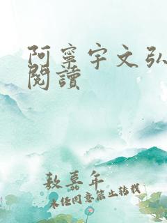 阿宁宇文弘免费阅读