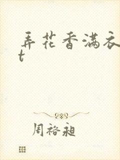 弄花香满衣txt