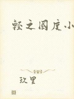 轻之国度小说