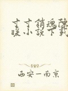 寸寸销魂陈聪王暖小说下载