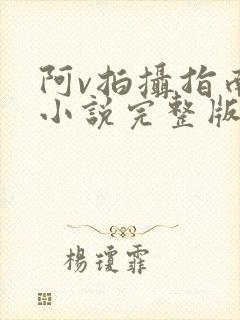 阿v拍摄指南说小说完整版