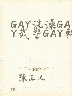 GAY洗澡GAY武警GAY软件