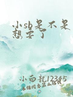 小sb是不是又想要了