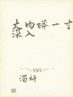 大肉蟒一寸寸地深入