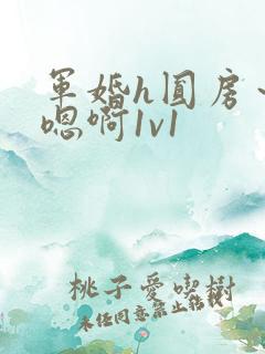 军婚h圆房～h嗯啊1v1
