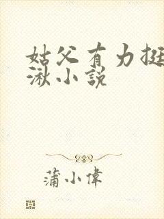 姑父有力挺送徐湫小说