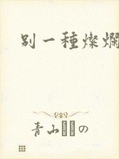 别一种灿烂生活