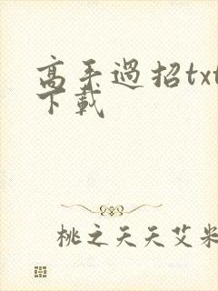 高手过招txt下载