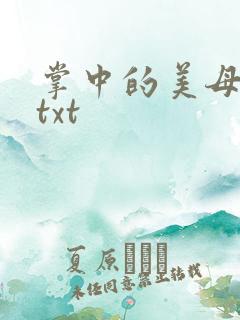 掌中的美母版主txt