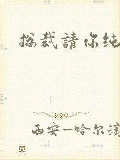 总裁请你纯洁点