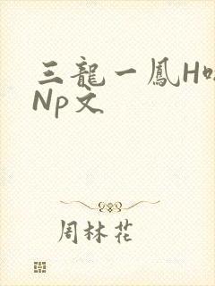 三龙一凤H啪肉Np文