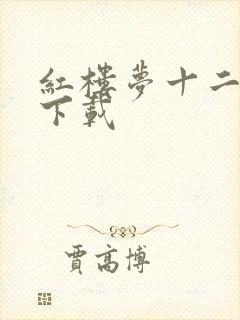 红楼梦十二金钗下载