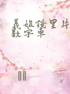 义姐镜里片微博数字车