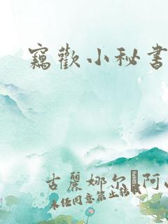 窃欢小秘书