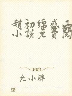 赵初绵盛西舫的小说免费阅读