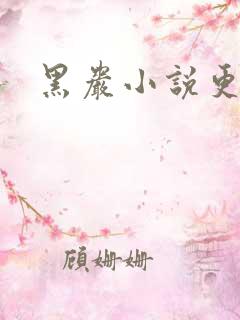 黑岩小说更新吧