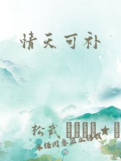 情天可补