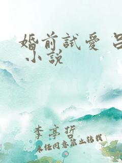 婚前试爱 吕颜 小说