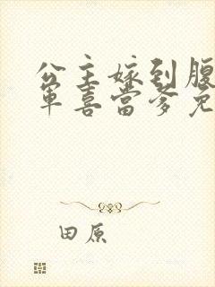 公主嫁到腹黑将军喜当爹免费