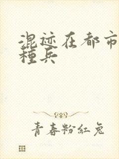 混迹在都市的特种兵