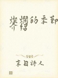 灿烂的季节剧情介绍