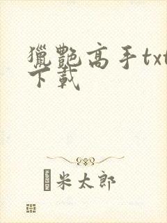 猎艳高手txt下载