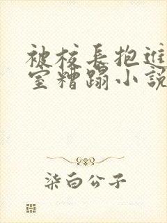 被校长抱进办公室糟蹋小说