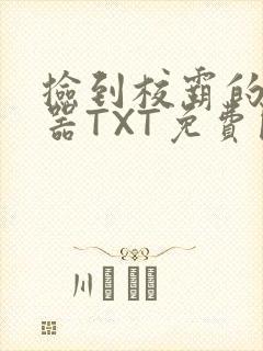 捡到校霸的遥控器TXT免费阅读