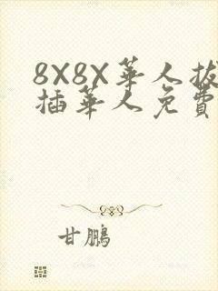 8X8X华人拔插华人免费