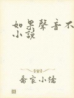 如果声音不记得小说